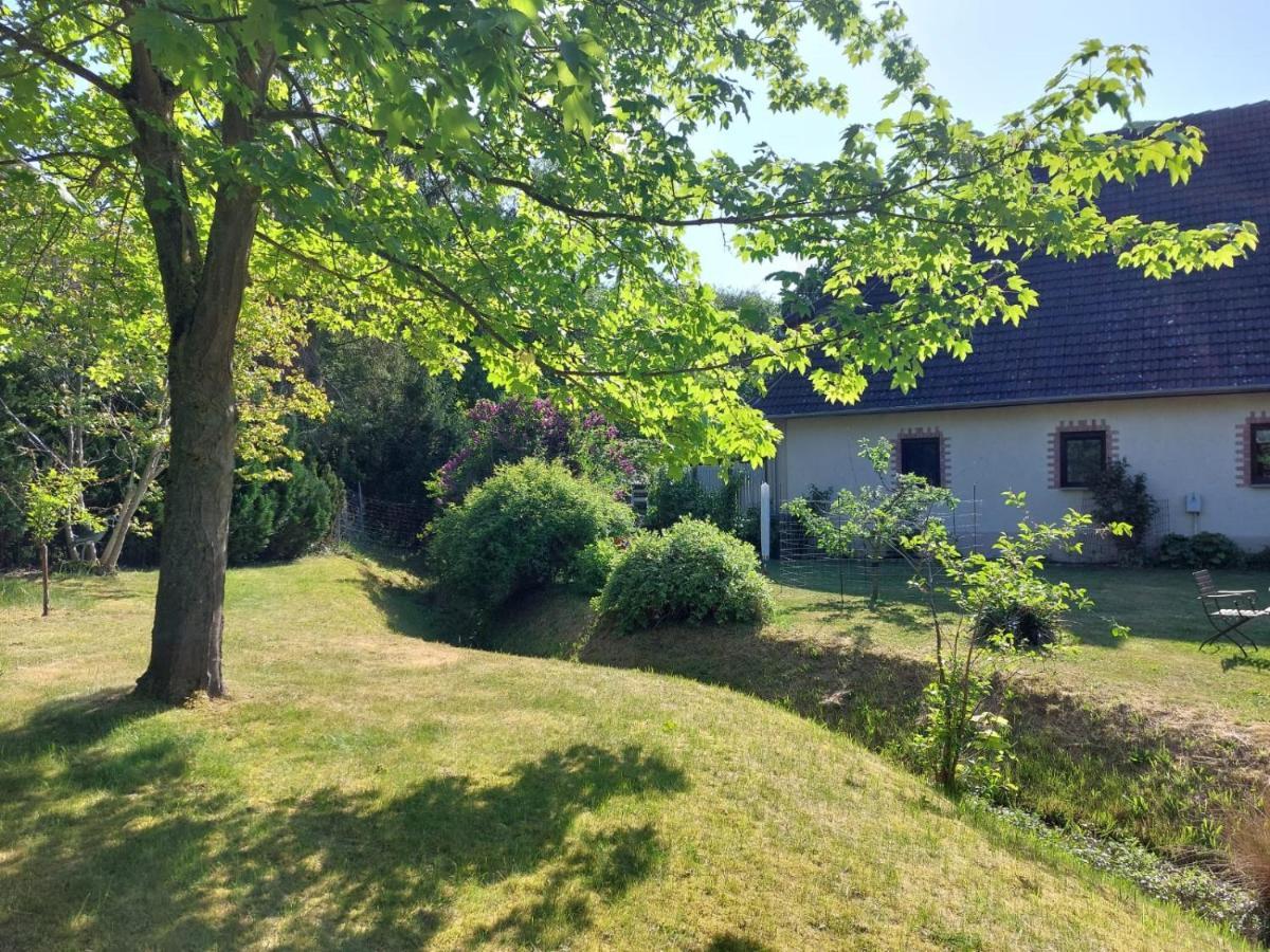 Klosterblick Bad Doberan Zewnętrze zdjęcie
