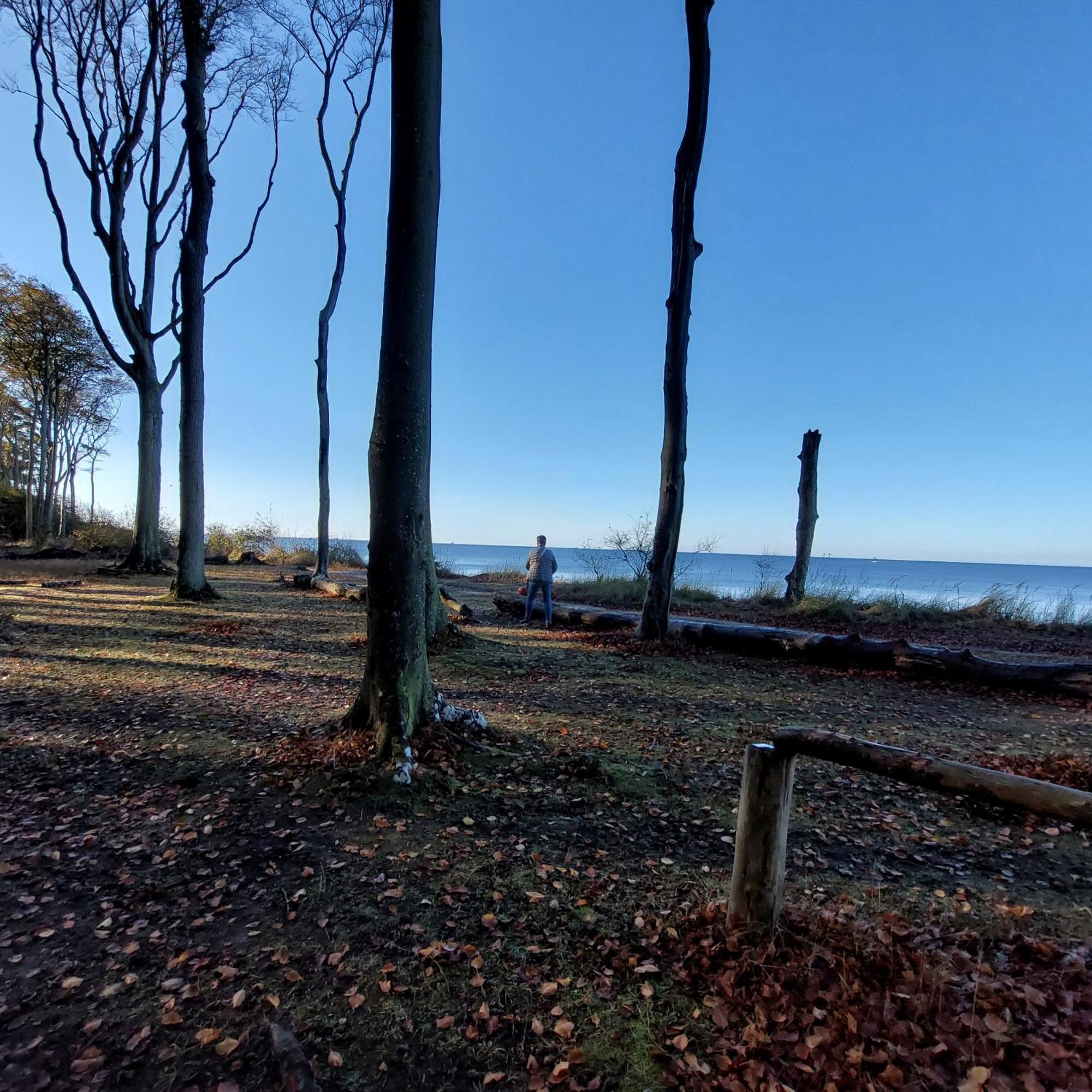 Klosterblick Bad Doberan Zewnętrze zdjęcie